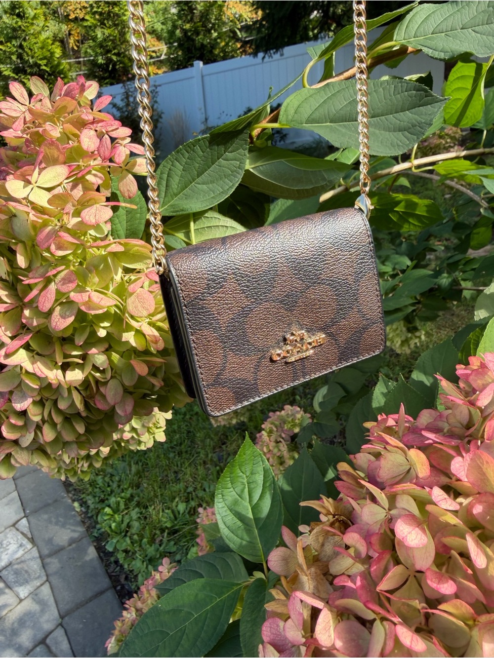 Coach Brown Signature Card Holder with Gold Chain
